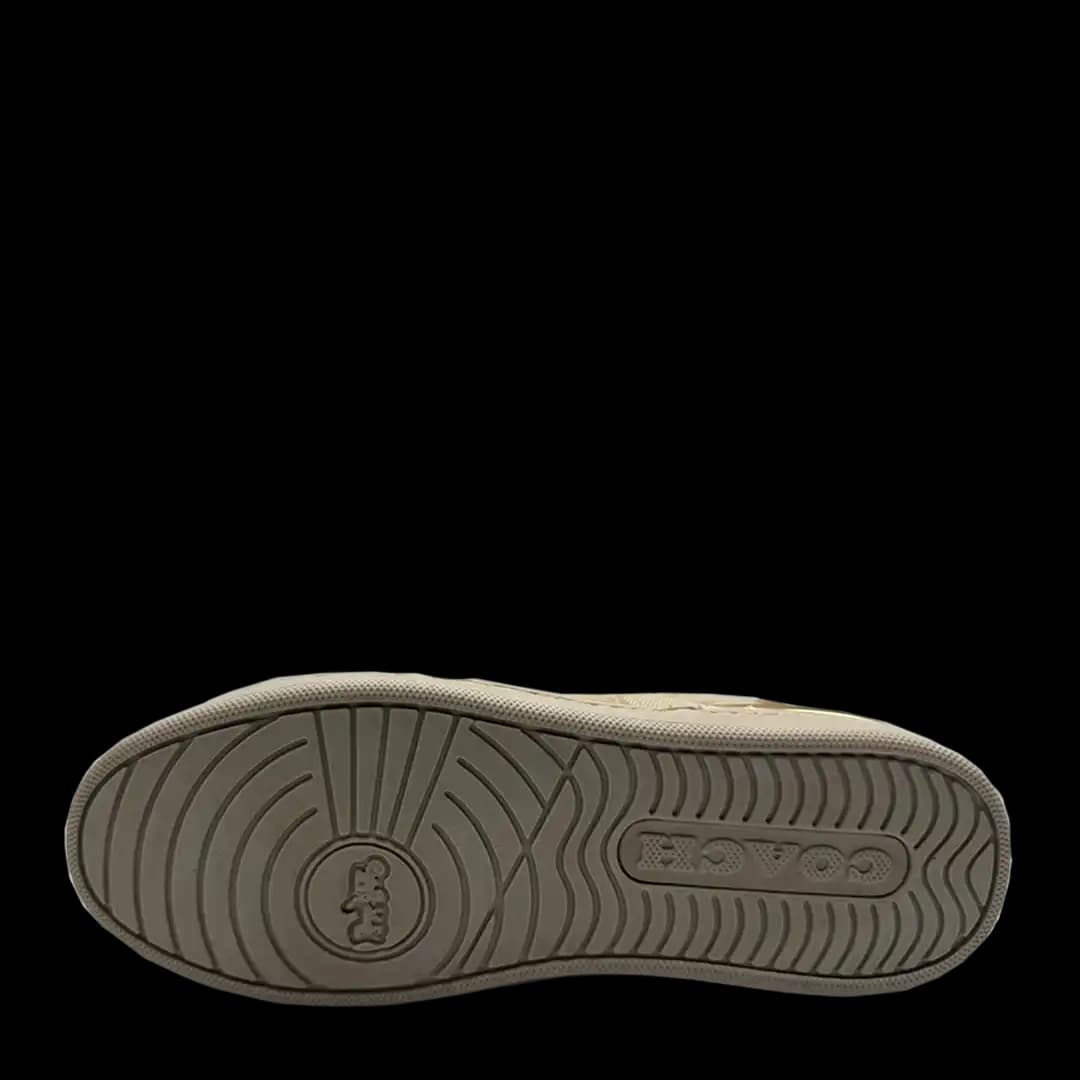Coach Signature Cream