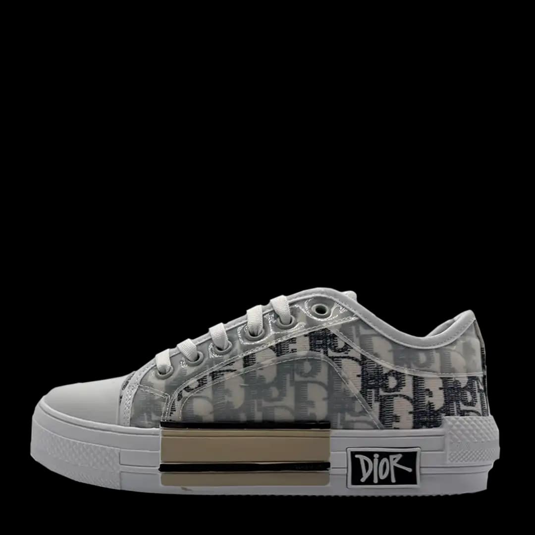 Dior Eclipse Grey