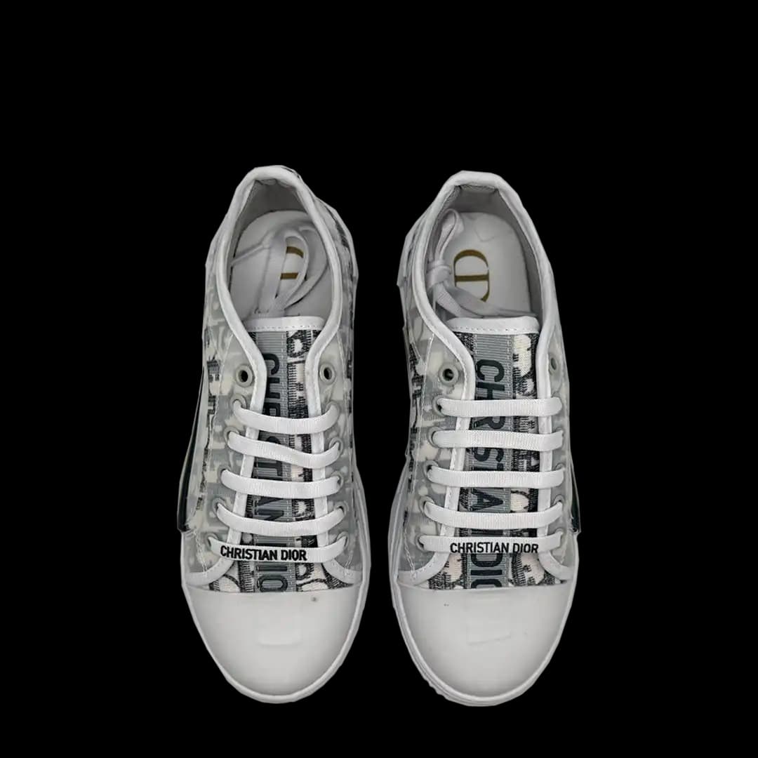 Dior Eclipse Grey