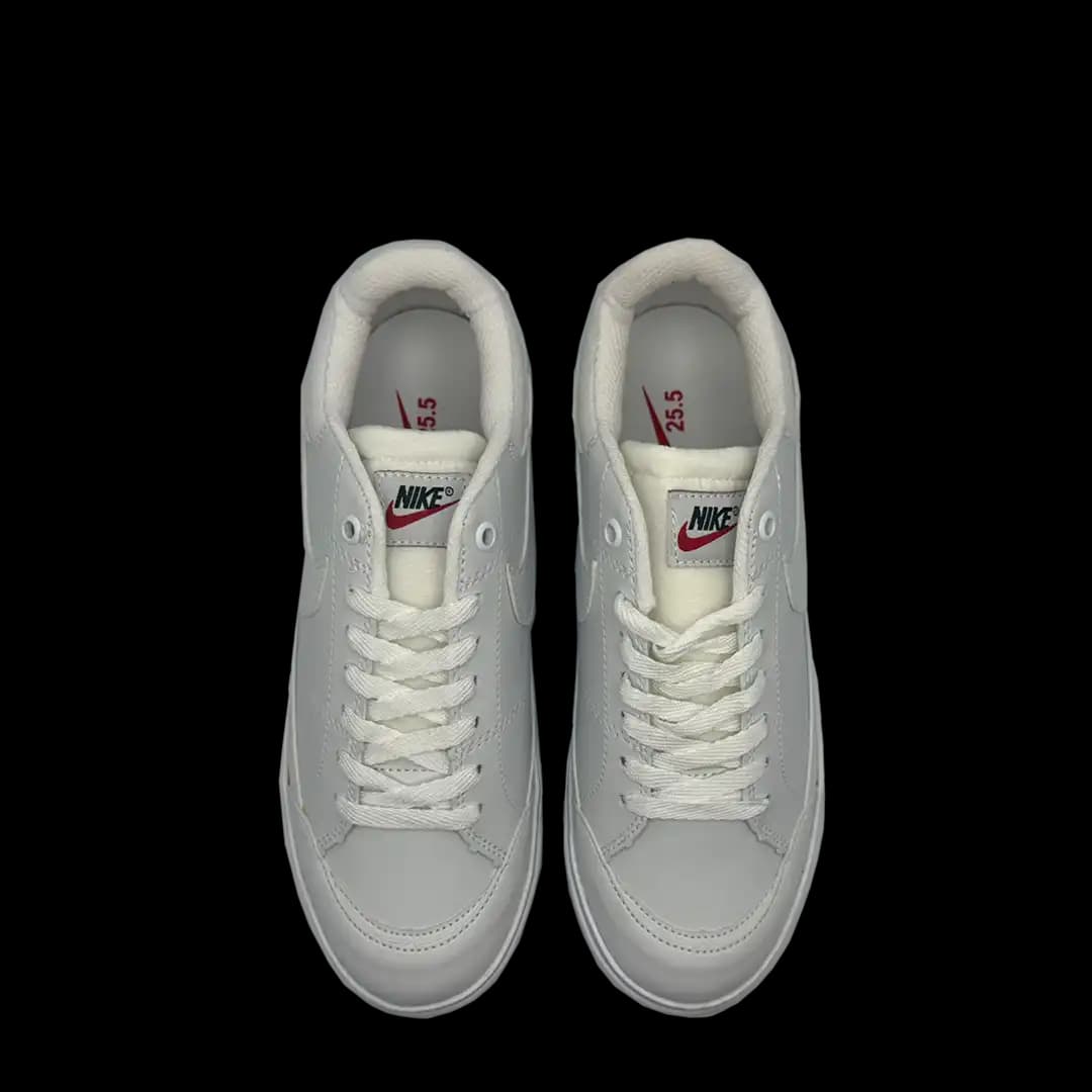 Nike Court Vision Legacy White