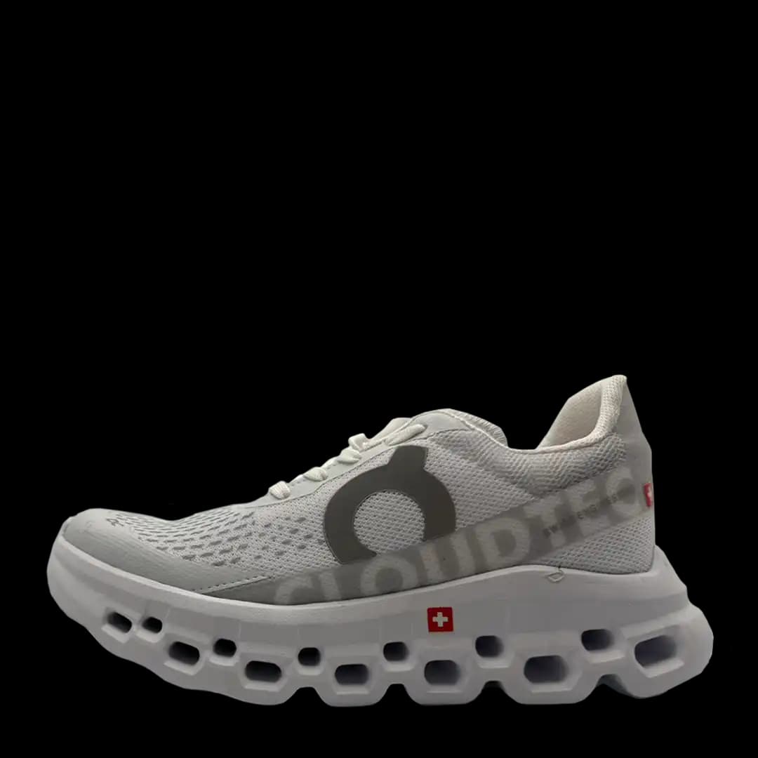 On Cloudmonster Arctic Flow